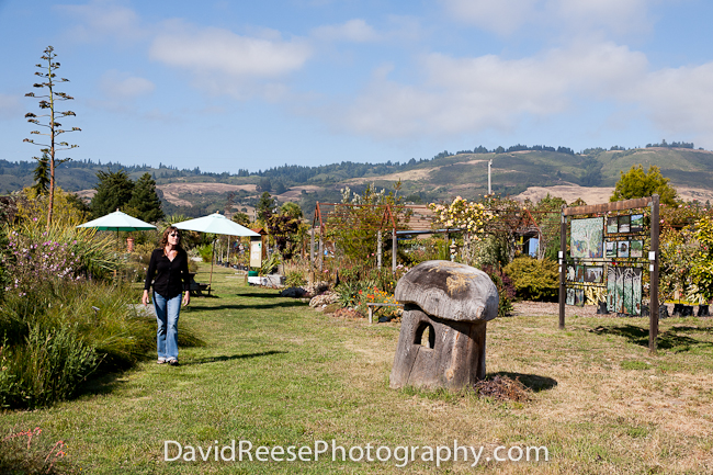 Pajaro Valley Arts Council -  www.pvarts.org