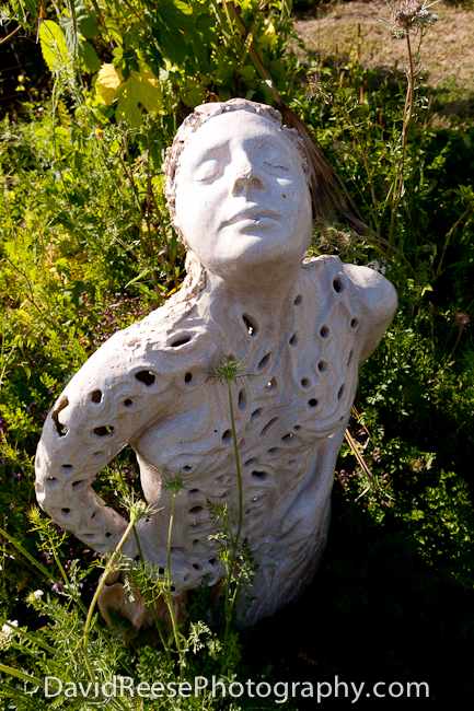 Pajaro Valley Arts Council -  www.pvarts.org