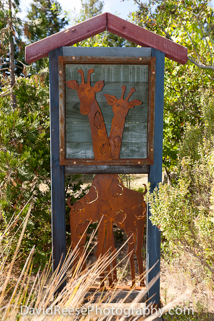 Pajaro Valley Arts Council -  www.pvarts.org