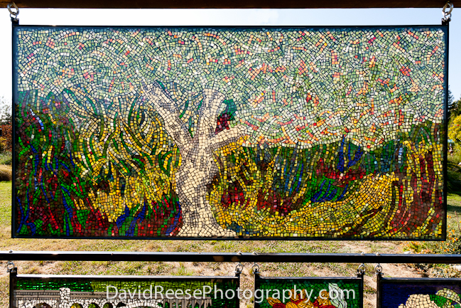 Pajaro Valley Arts Council -  www.pvarts.org