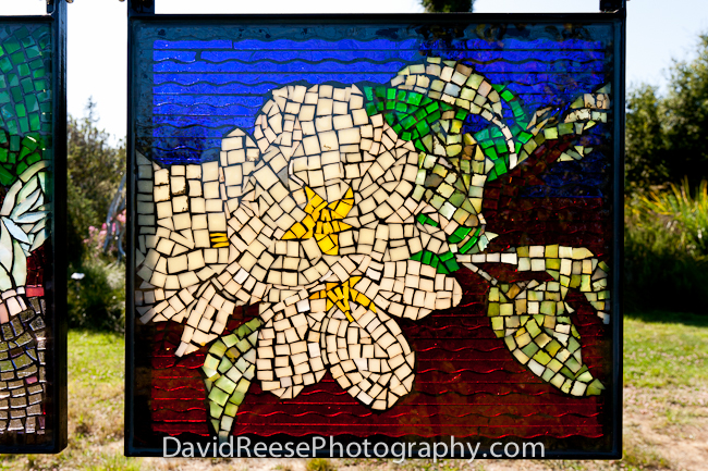 Pajaro Valley Arts Council -  www.pvarts.org