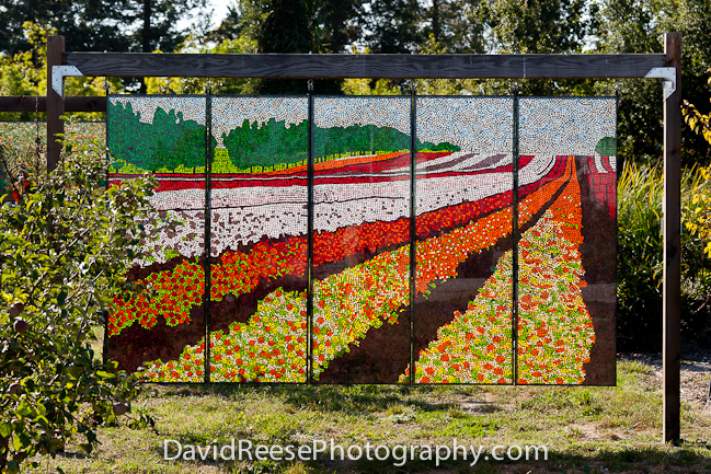 Pajaro Valley Arts Council -  www.pvarts.org