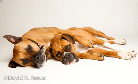 Rudy&Penny-3