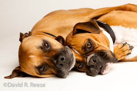Rudy&Penny-4